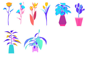Collection of stylized potted plants and cut flowers in bright colors isolated on transparent background