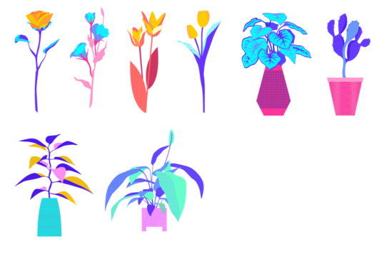 Collection of stylized potted plants and cut flowers in bright colors isolated on transparent background - Powered by Adobe