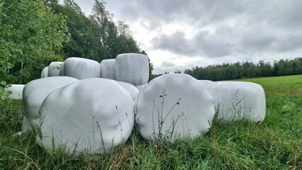 Round hay bales wrapped in white plastic are arranged on a green field, surrounded by trees under an overcast sky. The bales are large and stacked, contrasting with the lush grass and foliage.