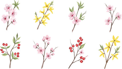 Botanical branch illustration, spring flowers and berries, cherry blossom vector, forsythia clipart, seasonal flora design, nature art elements
