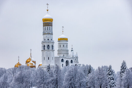 View of golden domes atop white towers rise majestically above snow-laden trees under a grey sky, creating a striking winter scene, Moscow, Moscow, Russia.