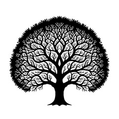 Intricate tree silhouette isolated on white background