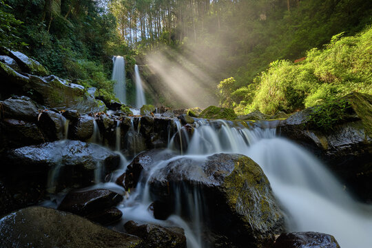 View of cascading waterfalls plunge over moss-covered rocks as sunlight filters through the dense forest canopy, creating a serene scene, Magelang, Central Java, Indonesia.