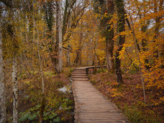 Wooden walkpath in Plitvice National Park. Splendid autumn in forest with pure water lake. Picturesque landscape of Croatia, Europe. Beauty of nature concept background.