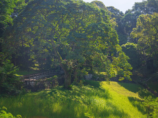 Infrastructure of the Kuala Lumpur Perdana Botanical Garden featuring walking paths, benches, decorative bridges, and well-maintained facilities integrated into the lush tropical environment.