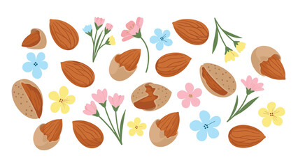 Colorful illustration of almonds and flowers on for food or health concepts