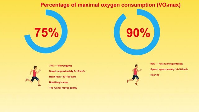 agriculture, animated character, animation, bee, bees, crop productivity, educational, environmental science, explainer, farming, honeybee, infographic, motion graphics, pollination, science, visual l