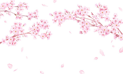 桜と散る花びらの水彩イラスト。アーチ型フレームデザイン。背景。