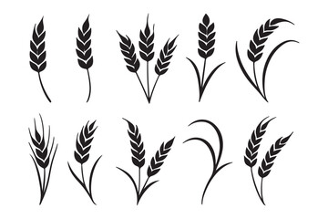 Wheat icon set. Collection of black wheat ear silhouettes, ideal for agriculture logos, organic product labels, and rural themed designs. Vector illustration. EPS 10