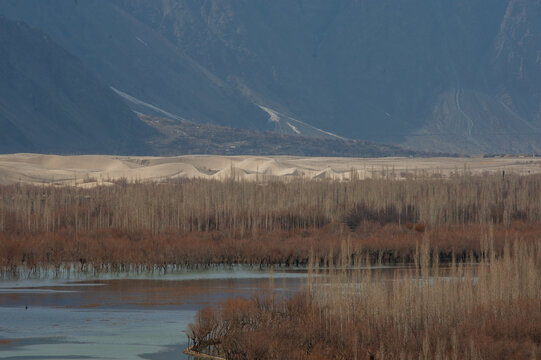 View of calm waters reflecting the stark, bare trees bordering the sandy plains beneath the shadowed mountains, a scene of serene contrast, Skardu, Gilgit Baltistan, Pakistan.