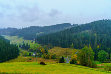 Countryside in the Black Forest