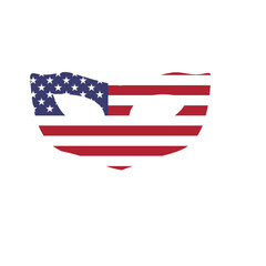 Usa Flag Mask Privacy In Icon