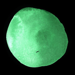 Round green watercolor frame, circle shape form isolated on black background. Handmade technique