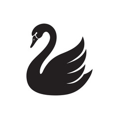 Black swan vector illustration on white background