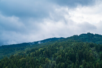 Germany, Beautiful black forest schwarzwald nature landscape panorama view above trees in summer season with dark clouds and coming rain