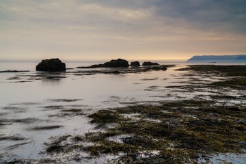 Naklejka premium seascape of the coast in the Westfjords in northwest Iceland near Raudsdalur at sunset