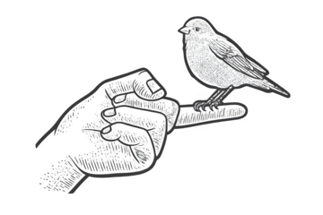 Vintage engraving style illustration of a small bird perched on a human finger, isolated black background, scratchboard style line art.