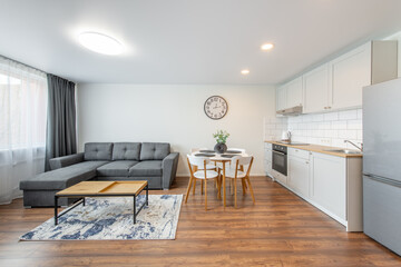Modern Home Living Room and Kitchen Interior. Luxurious Stylish Modern Apartment.