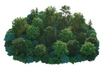  Green forest landscape isolated on transparent background. PNG