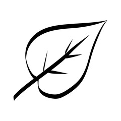 Plain Solid Black Color Block with Copy Space