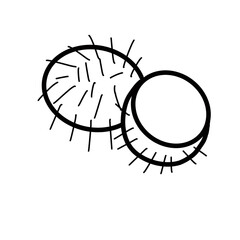 rambutan sweet fruit tropical food plant hand drawn organic line
