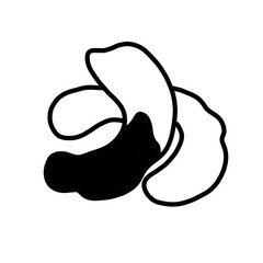 tamarind sour sweet fruit tropical food plant hand drawn organic line
