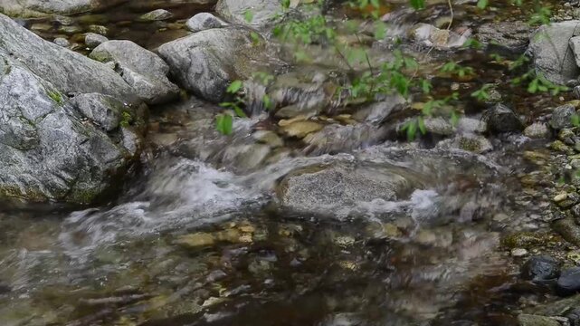small waterfall in the forest