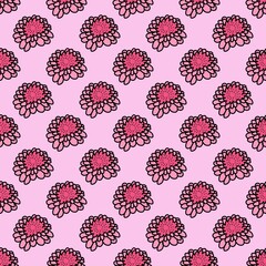 Chrysanthemum Pink Flower Violet background natural hand drawn seamless
