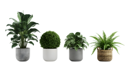 Isometric 3D rendering of decorative plant