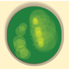 Abstract green background with clean, bright, and transparent water bubbles and drops illustration