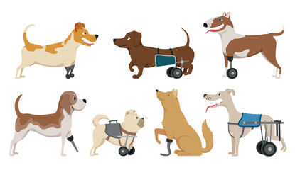 A cartoon-style set of dogs with prosthetic limbs. Each dog has unique features and uses different types of prosthetics for mobility.