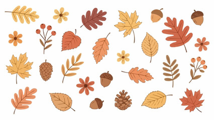Collection of Autumn Leaves and Acorns in Various Colors and Shapes. © AAN