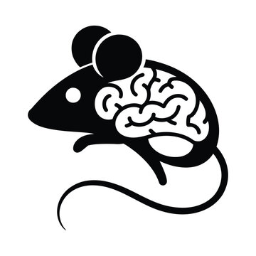 Mouse brain illustration