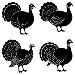 Four Black and White Turkey Silhouettes with Fan Tails on Transparent Background bird 2