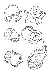 Hand drawn cutaway tropical fruits set with starfruit orange mangosteen rambutan and dragon fruit isolated on white background. This illustration represents exotic food variety healthy nutrition