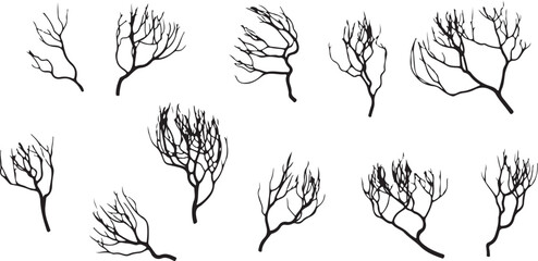 Bare Tree Branch Silhouette Set Vector Illustration
