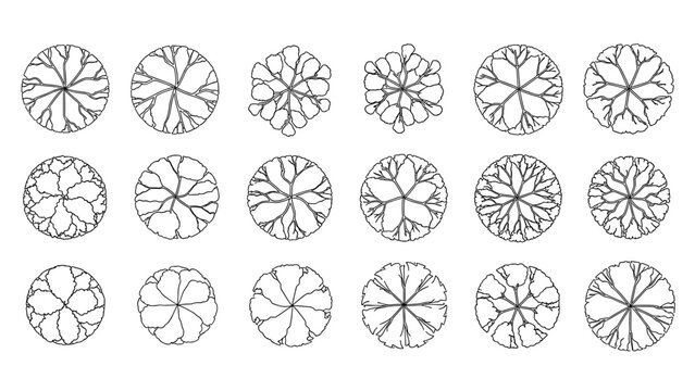 Set of 12 distinct architectural tree symbols in plan view, top-down perspective, minimalist CAD style, black outline on white background, no fill, uniform line weight, perfectly circular and organic.