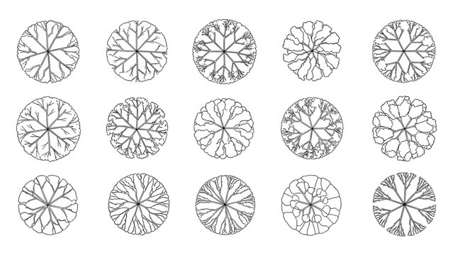 Minimalist CAD Tree Top View Vector Set for Architectural Site Plans