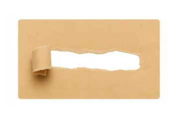 Brown ripped paper strip with a curled edge. Empty torn paper revealing a transparent background for text or message