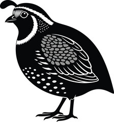 Quail Bird Silhouette Decorative