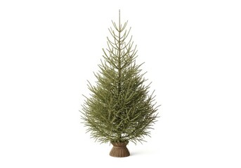 Miniature evergreen decoration stands upright on a pure white background