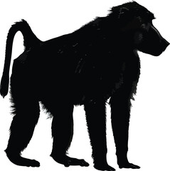 Baboon Silhouette Side View
