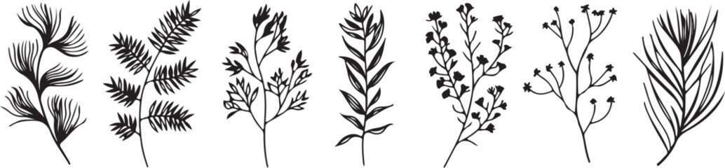 Fototapeta premium Set of Botanical Hand Drawn Vector Elements