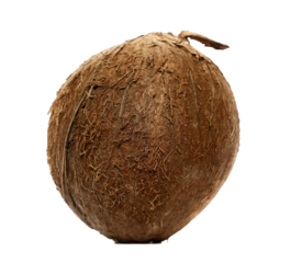 Coconut isolated on white background, clipping path