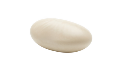 Single off white egg shaped object with subtle texture on black background oval