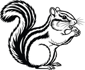 Squirrel holding nut detailed vector drawing