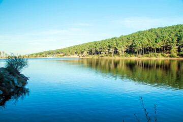 landscape with lake and forest, aydos forest istanbul