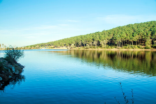 landscape with lake and forest, aydos forest istanbul