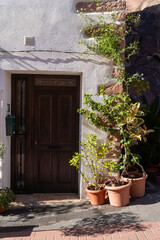 Sunlit Cottage Door with Potted Plants