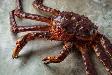 A majestic king crab sprawls gracefully on a weathered metallic surface. Its rich red and brown hues glisten under soft light, showcasing its impressive claws and spiny shell